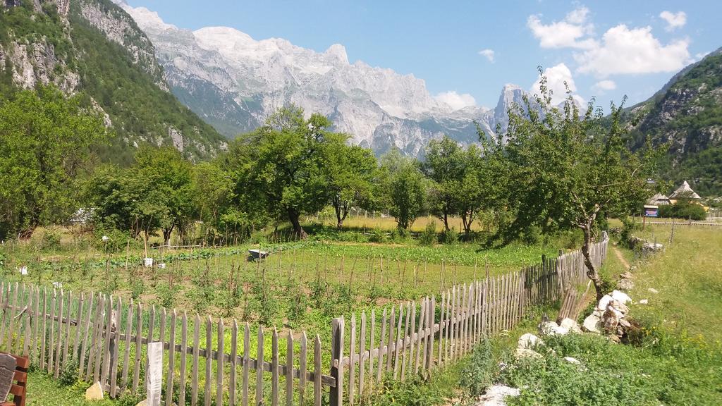 Gasthof Shpella *